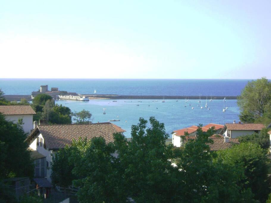 Le Cèdre Bleu *